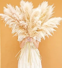46" inch 10 Stems Natural Pampas Grass Decor Tall, Pompas Grass, Tall Beige