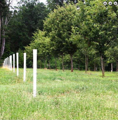 Plantra SunFlex Greenhouse Grow Tube System for Deciduous Trees w/Stakes Qty 30