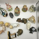 Foto 6 di 16