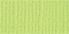 Bazzill Mono Cardstock 12"X12"-Limeade/Canvas - 25 Pack