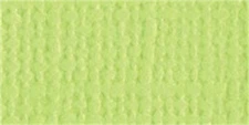 Bazzill Mono Cardstock 12"X12"-Limeade/Canvas - 25 Pack