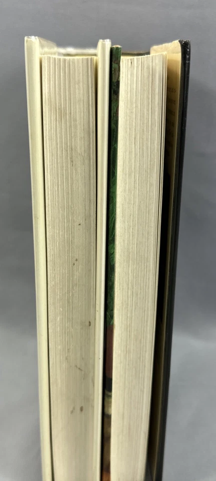 2 Mario Vargas Llosa HC/DJ Books,The Story-Teller & Real Life Of Alejandro Mayta Foto 4 de 4