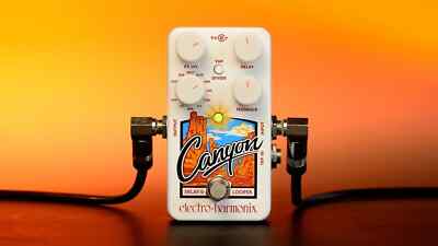 EHX Canyon Delay and Looper Pedal