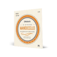 D'Addario EJ78 Phosphor Bronze Mandocello Strings, 22-74