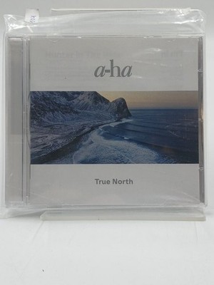 True North A-Ha:
