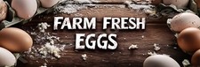 Farm Fresh Eggs Metal Sign 2 Sizes to Choose From e41