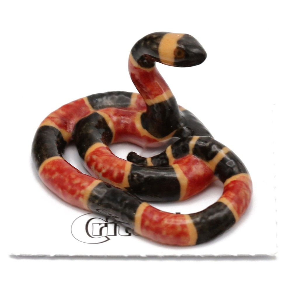 Little Critterz - Coral Snake 