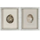 Abalone & Pearl Shell Shadow Box Wall Décor (2 Piece Set)