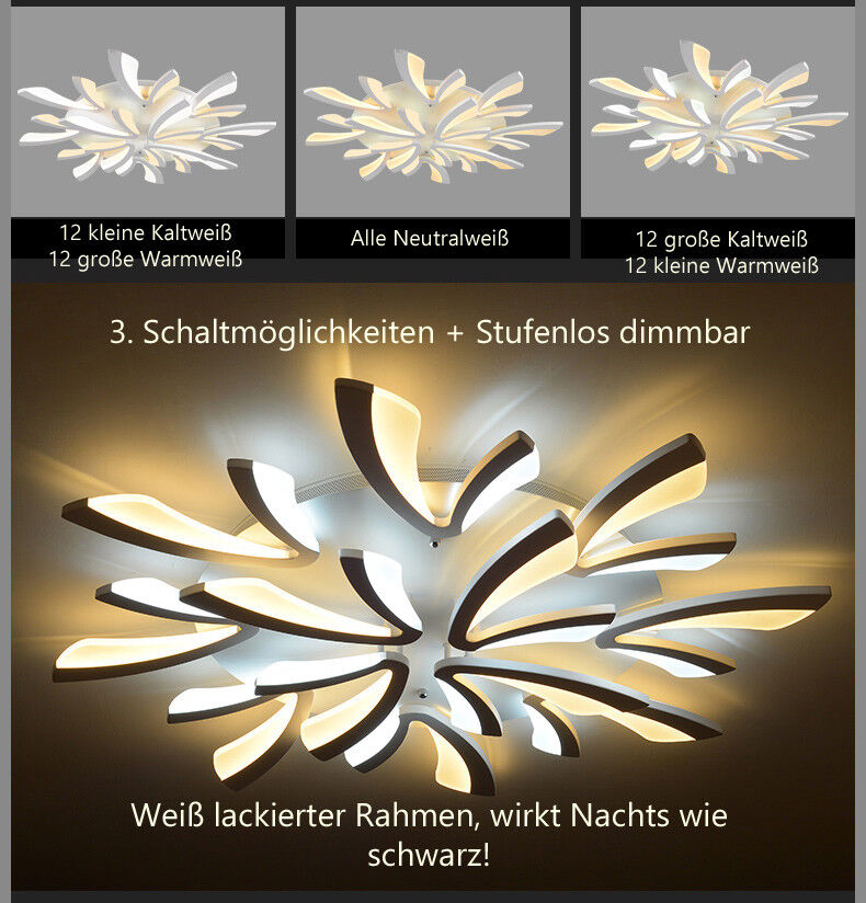 Bild 31 von 101