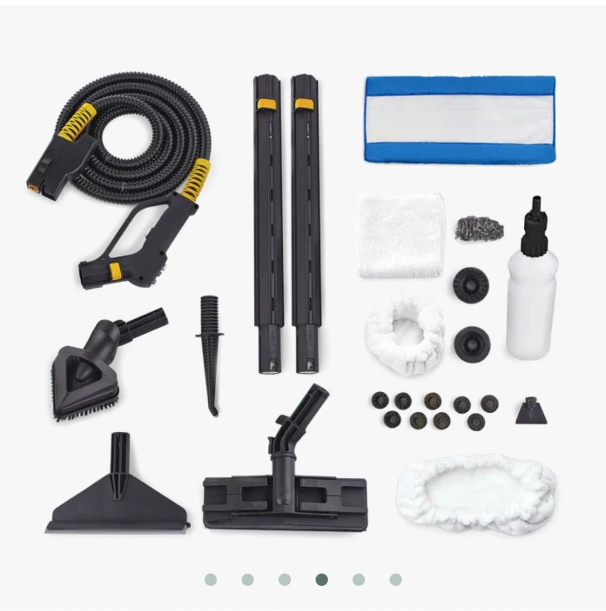 New Dupray Tosca Steam Cleaner With Accessories White MSRP $999