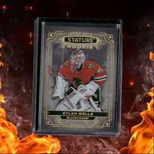 2022-23 Upper Deck Stature Dylan Wells Rookie 152/399 #126