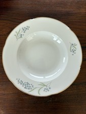 servizio piatti richard ginori