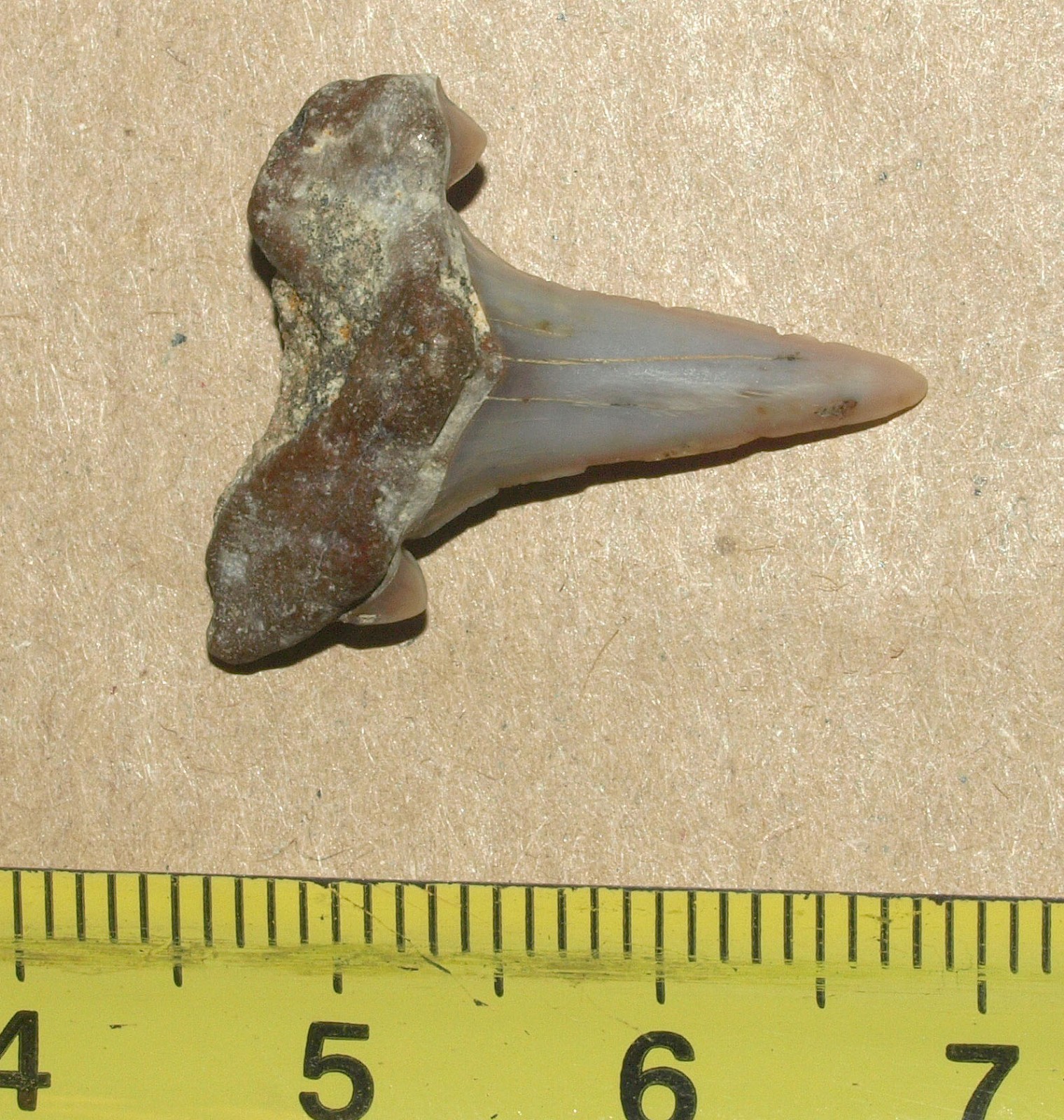 Picture 16 of 16