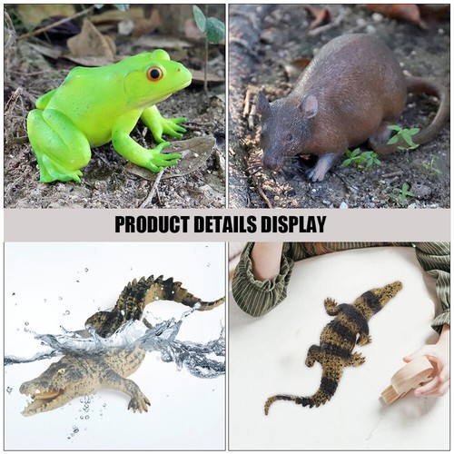 5 Pcs Animal Model Toys Child Realistic Figures Stretchy Sensory - 第 8/12 張圖片