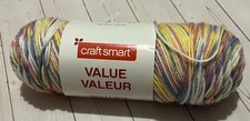 one full skein Craft Smart Value yarn Pastel 19 acrylic