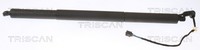 Hinten Links Triscan 8710 29306 Gasfeder, Koffer-/Laderaum FüR Skoda