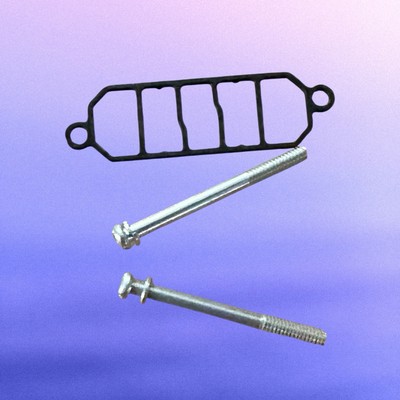 Genuine Dye Mayrix DM3 DM4 DM5 DMC DM3/4/5/C PM5 Solenoid Gasket & Screws