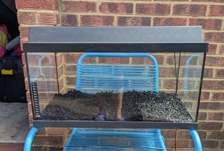 2ft fish tank used with light lid and gravel Juwel Korall 60 54 litre