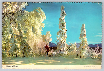 Scenic Alaska Ice Fog Winter Landscape by Carl Berlin Postcard