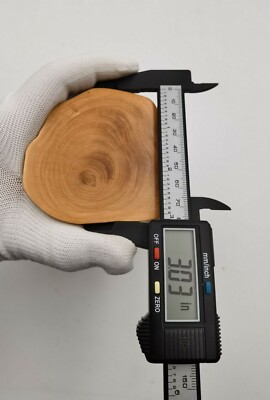 Bonsai Base Hard Wood China Boxwood Tree-Root Carved Stand Display