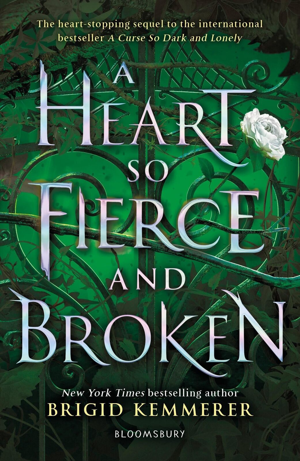 Thumbnail - Brigid Kemmerer | A Heart So Fierce And Broken | Taschenbuch |