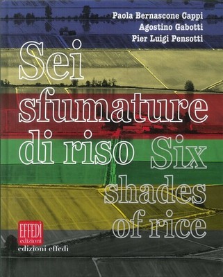 Buch - Paola Bernascone / Agostino Gabotti / Pensotti Pier Luigi - Sechs Nuancen