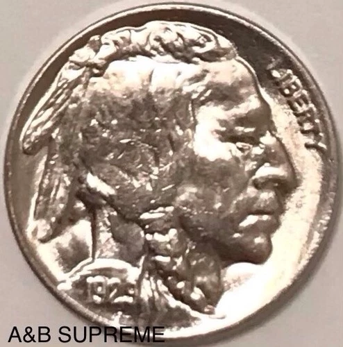 1929 INDIAN HEAD BUFFALO NICKEL FROM OBW ROLL CHOICE-GEM BU UNCIRCULATED