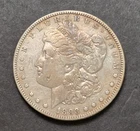 1893 Morgan Dollar, Fine Details