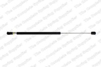 LesjÖFors 8115642 Gasfeder, Koffer-/Laderaum FüR CitroËN
