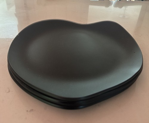 Riverside Designs USA Sea Glass Large Black Free Form Serving Dinner Platters - Picture 15 of 24