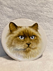 Hyalyn 507 Usa Himalayan Cat Trivet Wall Decor Ceramic 6" L x 6" W