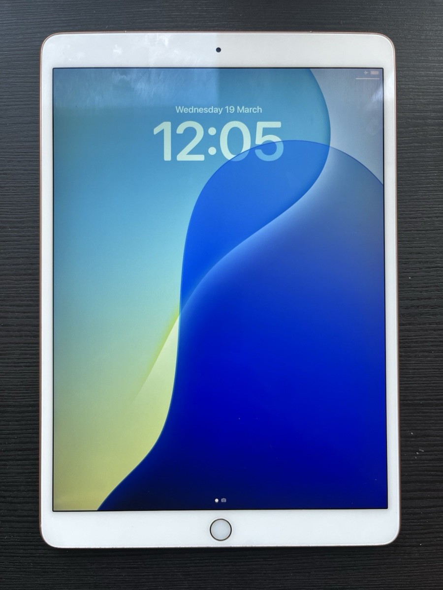 Apple iPad 【ジャンク品】iPad air 第三世代 本体 Air(第3世代 WiFi