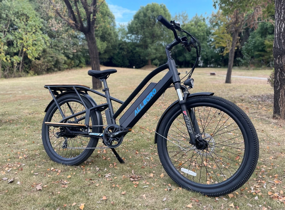 Carry Cargo City Ebike Electric Bicycle 48V18AH Lithium TDL6156 Throttle PAS