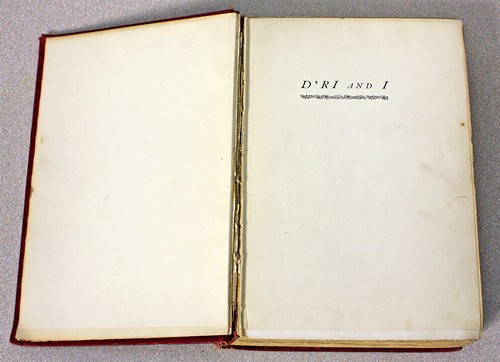 Antique Dri and I by Irving Bacheller – 1901 First Edition - Picture 3 of 12
