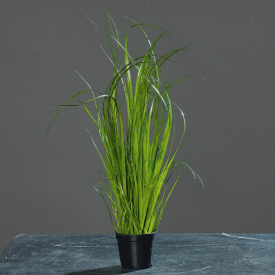 Chinaschilf Kunstgras, 35cm, im schwarzen Topf, Kunstpflanze,künstliches Gras