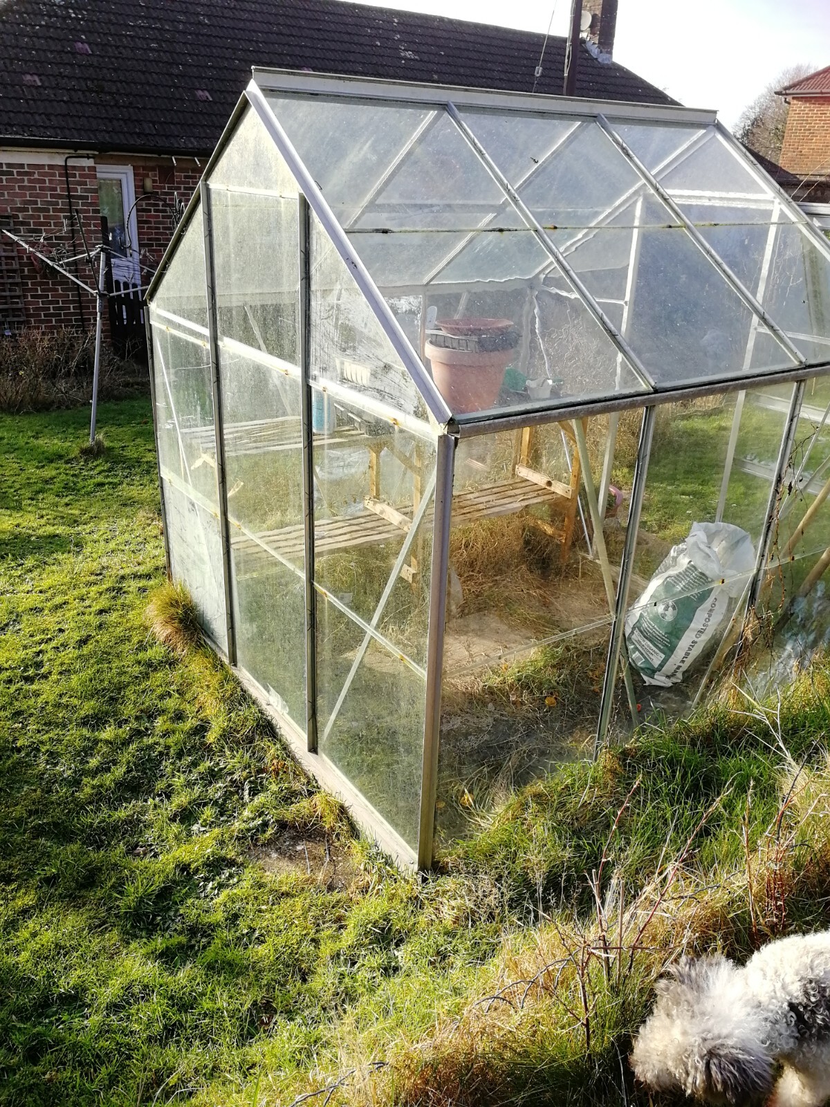 Greenhouse. eBay