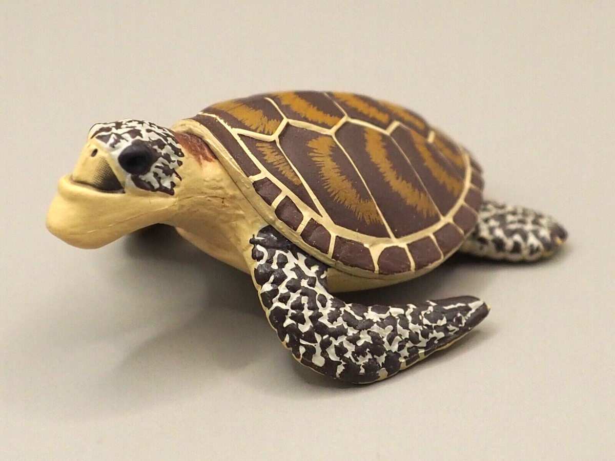 Sea Turtle Shakurel Planet 4 Panda's Ana Capsule Toy Animal Figure