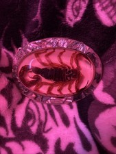 Alpaca Abalone Scorpion Belt Buckle Vintage, Made in Mexico
