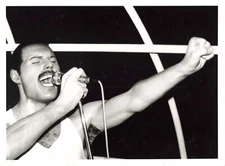 FREDDY MERCURY QUEEN SINGER MUSIC PHOTO SILVER PRINT 24x17.5CM