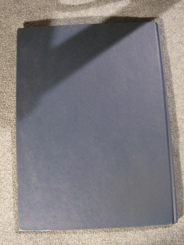 The History of the Grateful Dead by William Ruhlman HC w/o DJ Staining to Cover - Bild 8 von 10