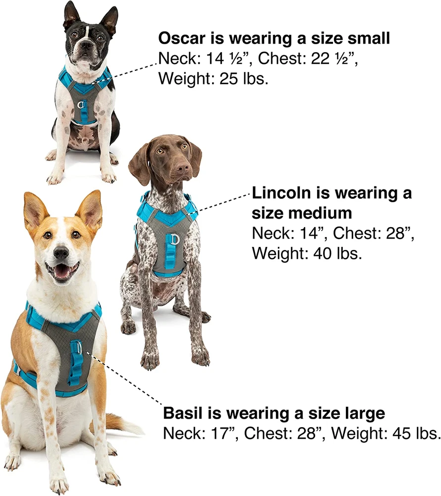 Dog Harness for Medium, & Small Active Dogs, Pet Hiking Harness for Running & Wa