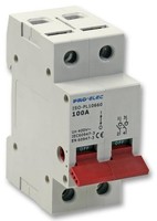 Pro Elec - 100A Dp Hauptschalter-Isolator