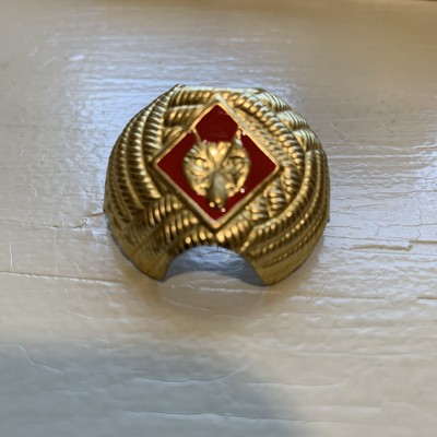 Uniform Scouting BSA Wolf Red neckerchief Slide Cub new Scout