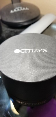 Vintage Citizen Ladies display picture 2