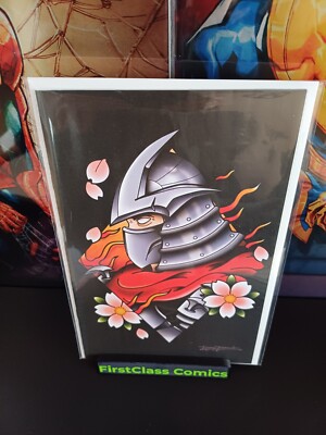 Teenage Mutant Ninja Turtles #6  Megacon 2025 Davis Rider VIRGIN VARIANT