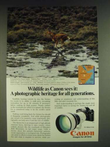 Canon F-1 1985 cámara y anuncio de lente FD 300 mm f/2,8 L - Simien Fox - Imagen 1 de 1