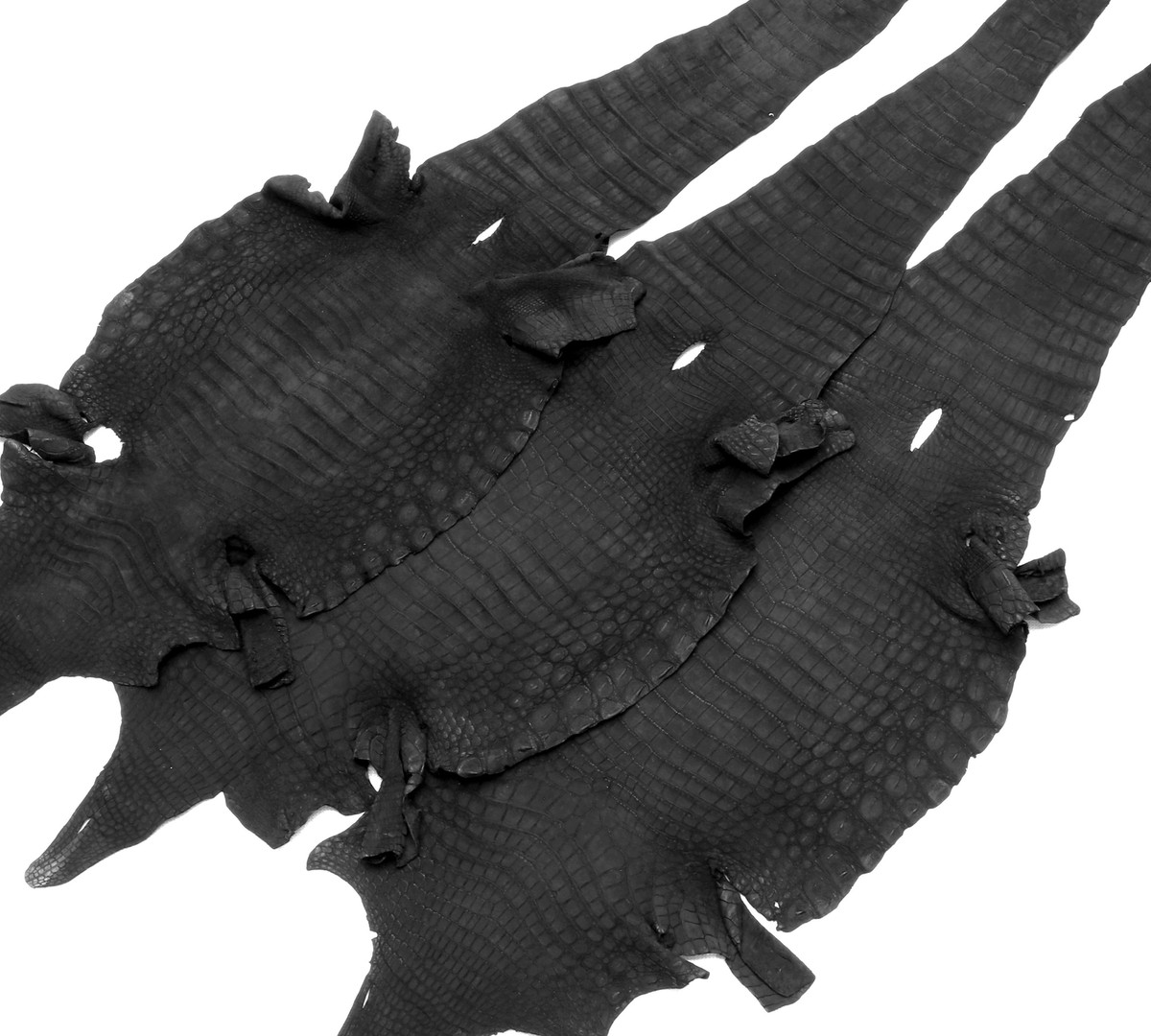 激レアtheSuedeCrocodiles StoptheRainUKオリジナル Crocodile Suede Leather Black Color (suede) | eBay