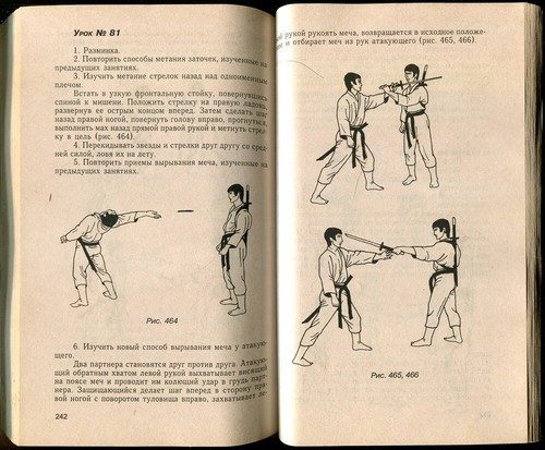 IAIJUTSU & SHURIKENJUTSU TECHNIKEN, JAPANISCHE MATRIALKUNST, ALTES RUSSISCHES BUCH - Bild 8 von 8