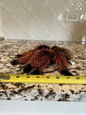 Folkmanis Small Tarantula Finger Puppet 6” Spider Hairy Orange Black Brown