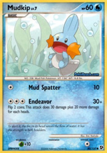 Mudkip - 80/106 - Common NM, English Pokemon Great Encounters